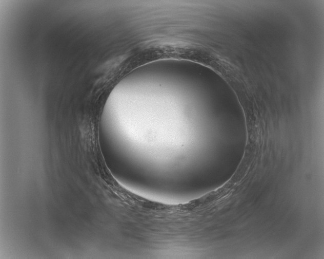 X0000056021061200508221515