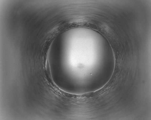 X0000056021062200508221515