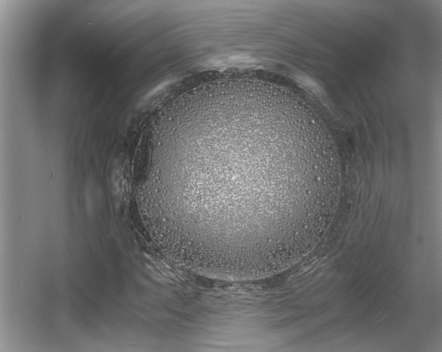 X0000056021063200508221515