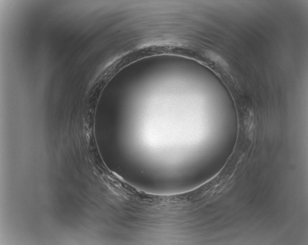 X0000056021064200508221515