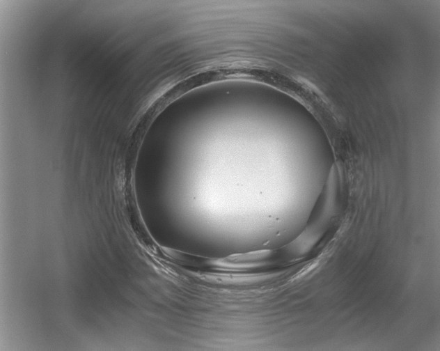 X0000056021065200508221515