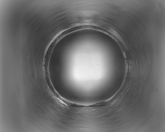 X0000056021068200508221515