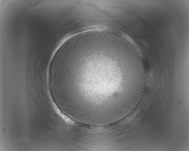 X0000056021099200508221514
