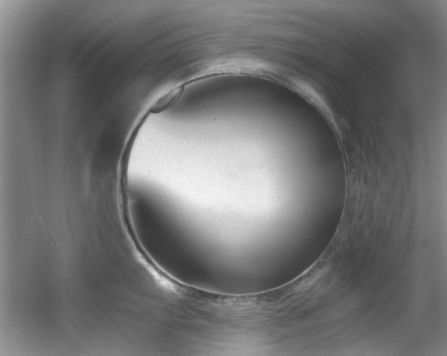 X0000056021103200508221514