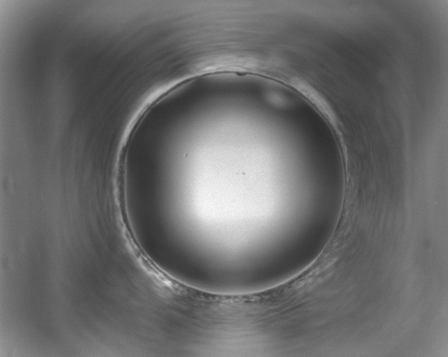 X0000056021104200508221514
