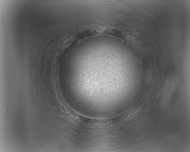 X0000056021105200508221513