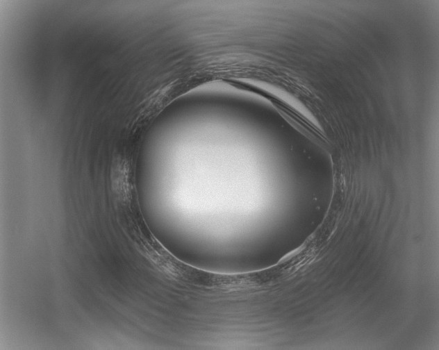 X0000056021108200508221513