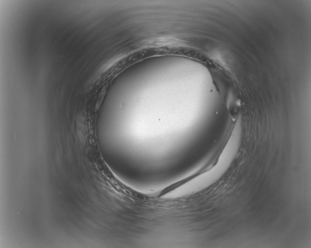 X0000056021112200508221513