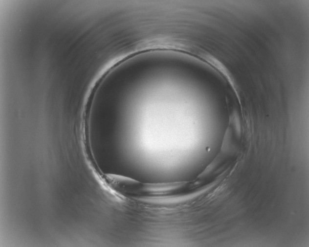 X0000056021144200508221514