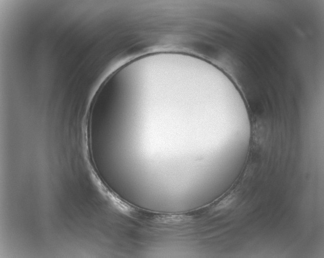 X0000056021150200508221514