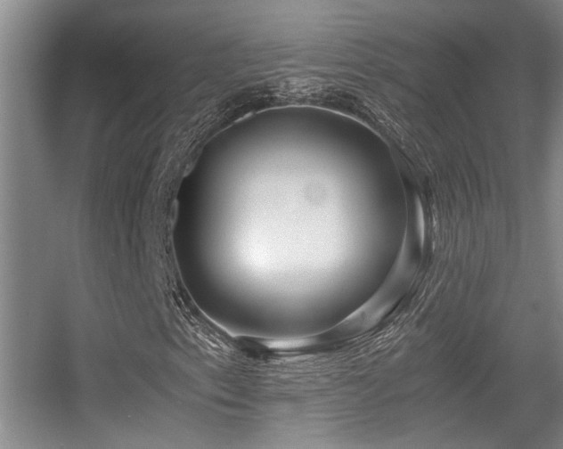X0000056021153200508221513