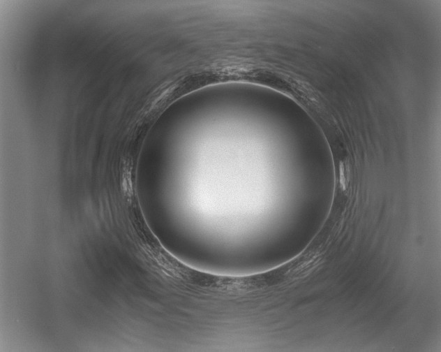 X0000056021155200508221513