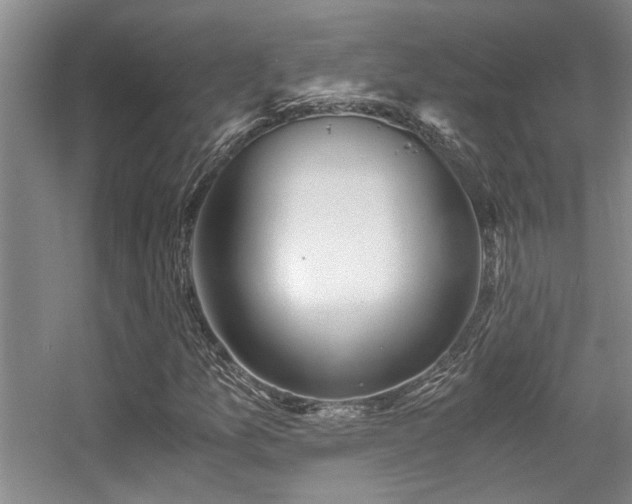 X0000056021157200508221513