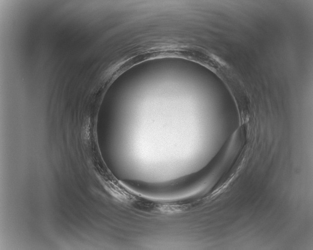 X0000056021161200508221513