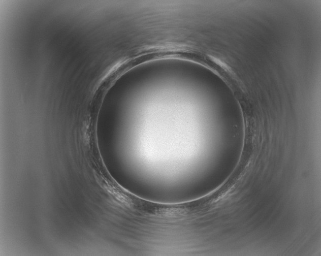 X0000056021163200508221513