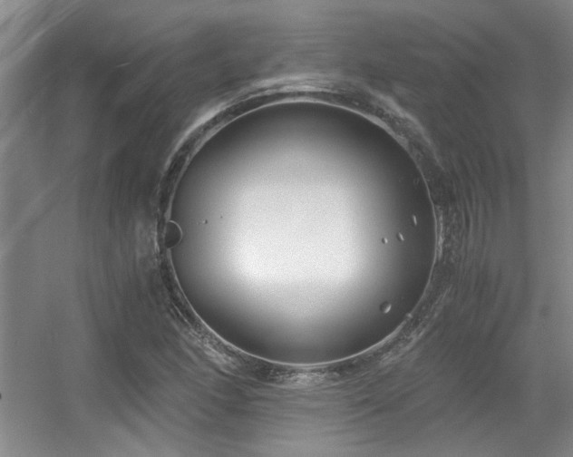 X0000056021166200508221513