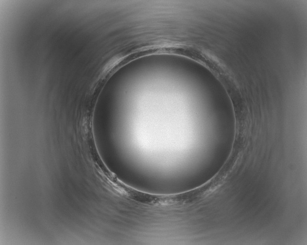 X0000056021169200508221513