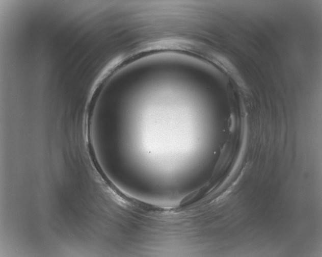 X0000056021180200508221513