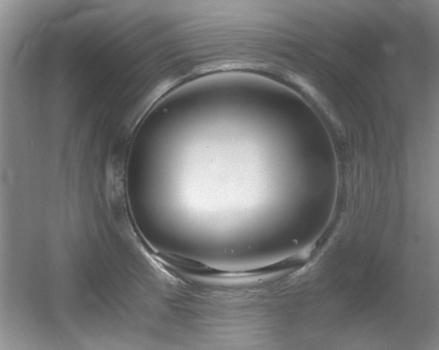 X0000056021185200508221513