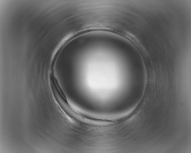 X0000056021188200508221513