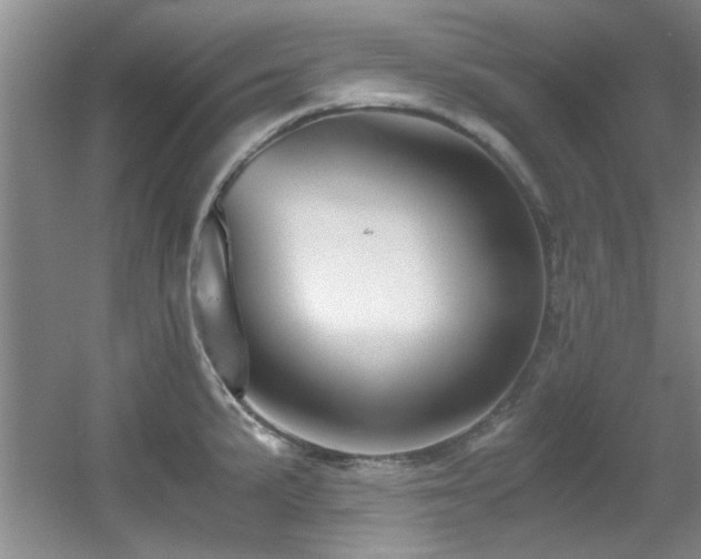 X0000056021191200508221512