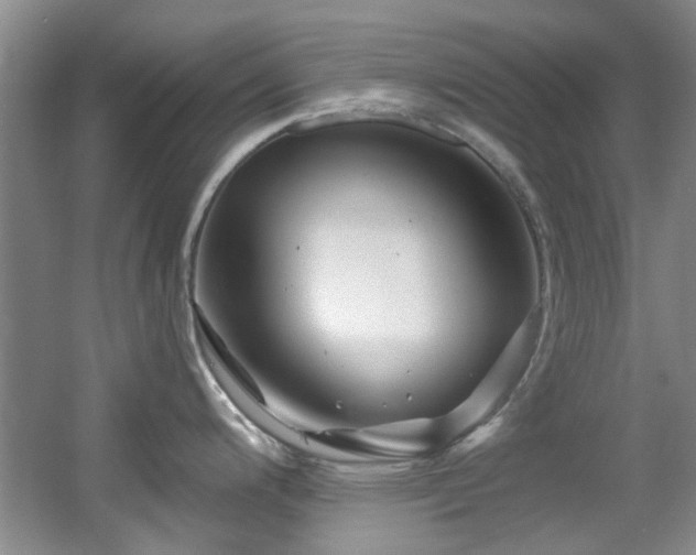 X0000056021200200508221512