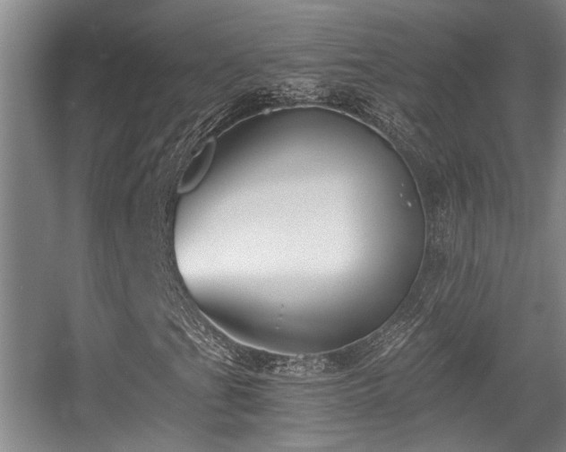 X0000056021201200508221511
