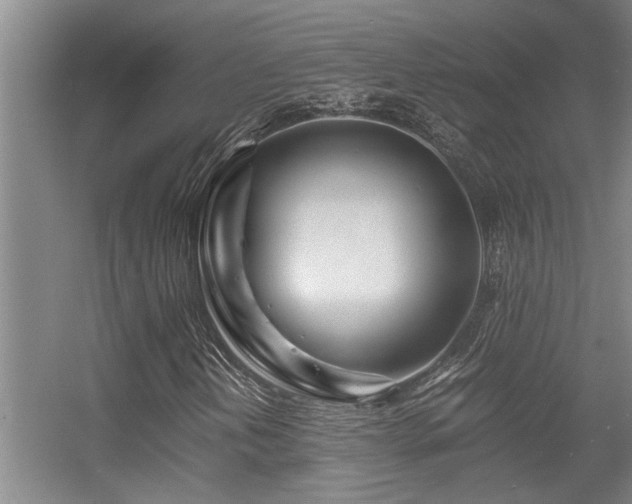 X0000056021202200508221512