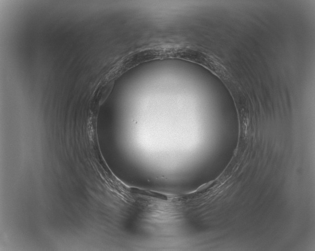 X0000056021204200508221512