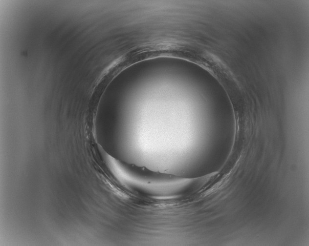 X0000056021210200508221512