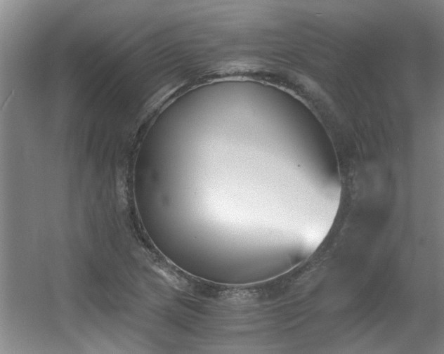 X0000056021217200508221512