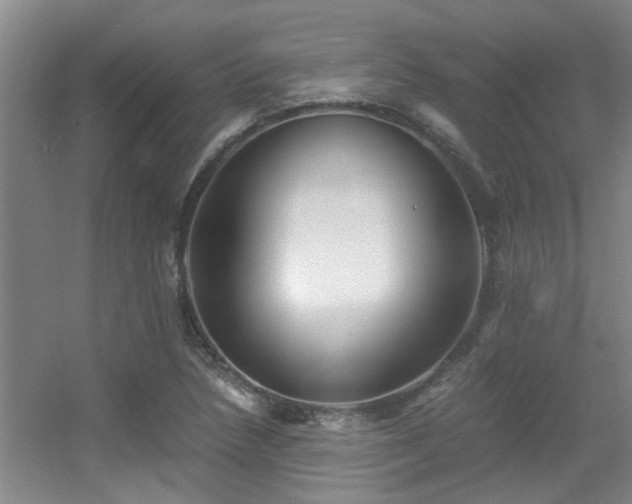 X0000056021218200508221512
