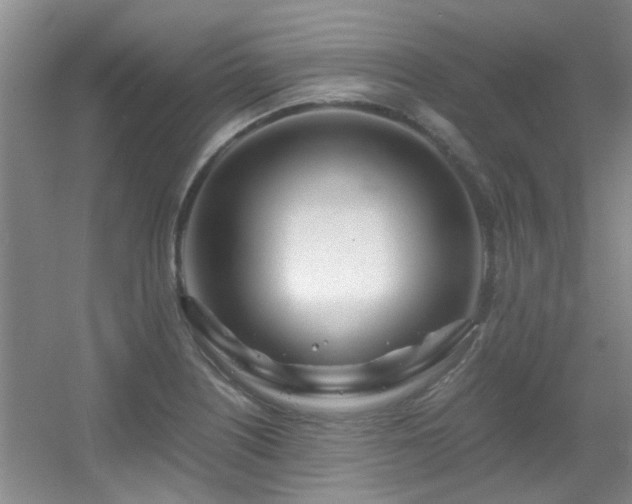 X0000056021226200508221512