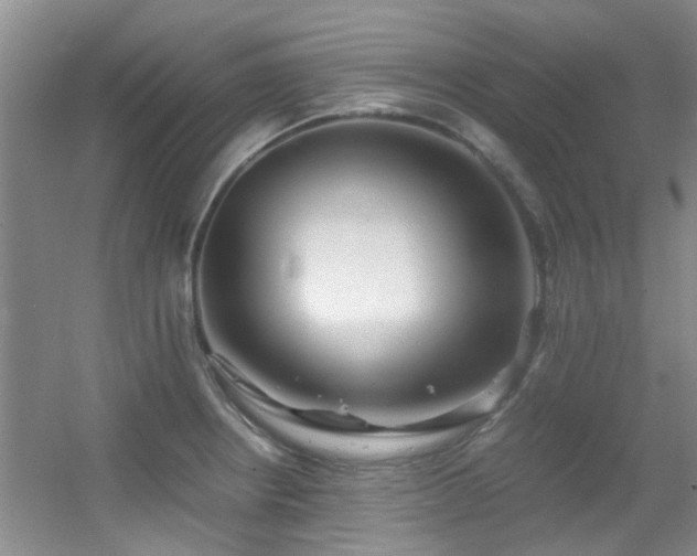 X0000056021234200508221512
