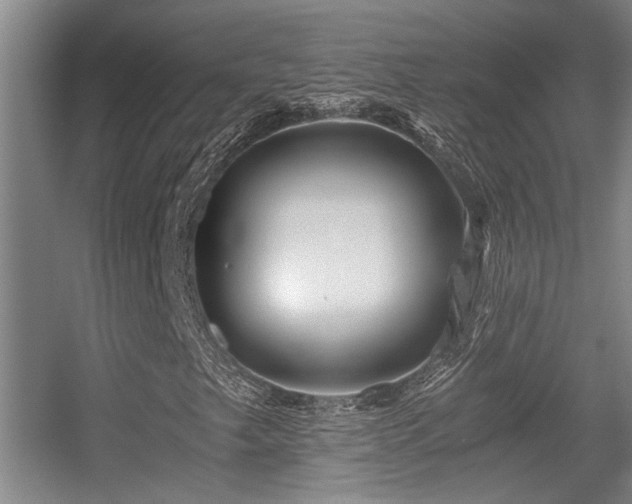 X0000056021249200508221511