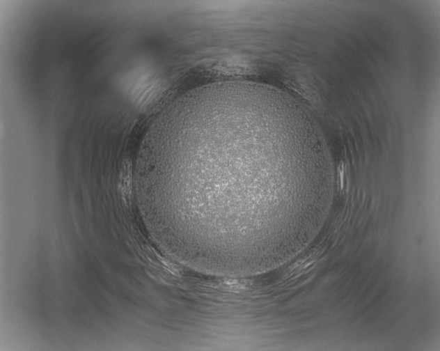 X0000056021251200508221511
