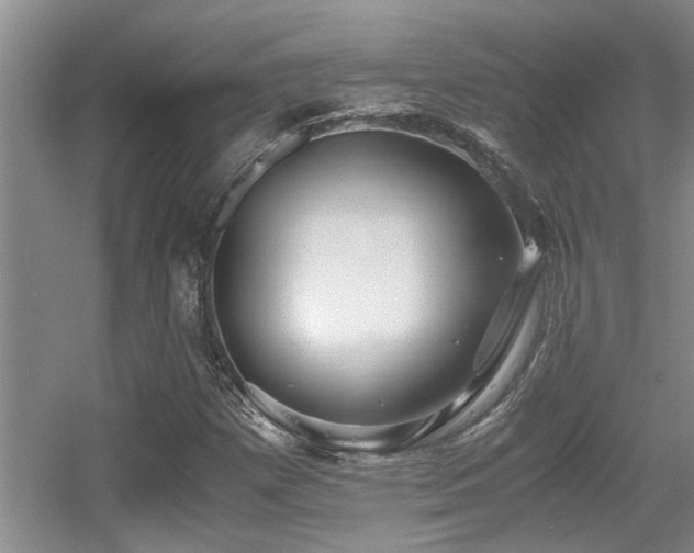 X0000056021257200508221511