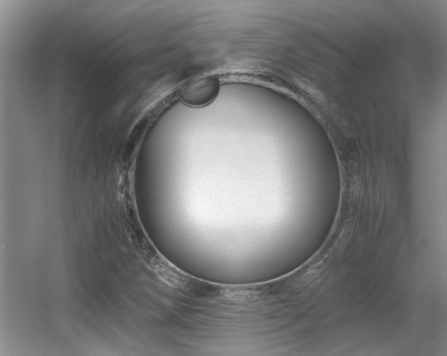 X0000056021258200508221511