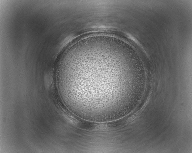 X0000056021259200508221511