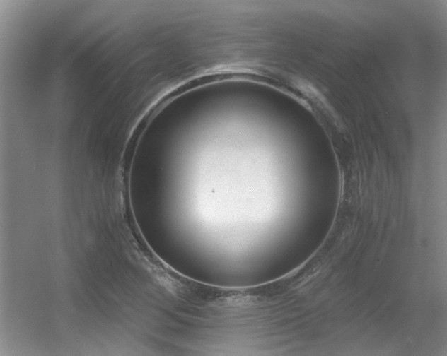X0000056021268200508221511