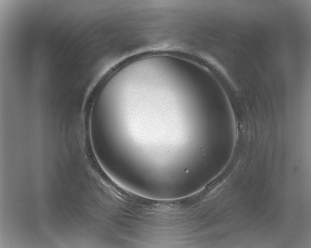 X0000056021270200508221511