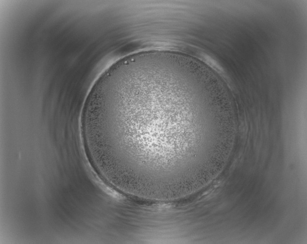 X0000056021283200508221511