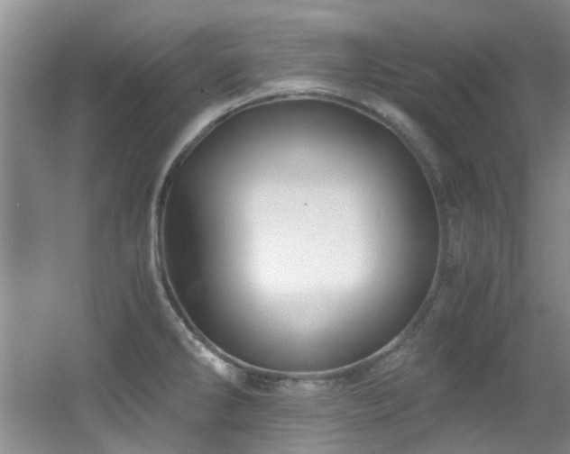 X0000056021286200508221511