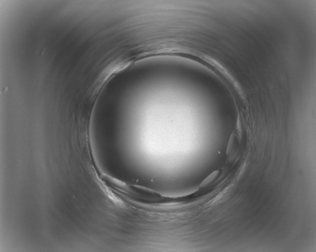 X0000056021289200508221511