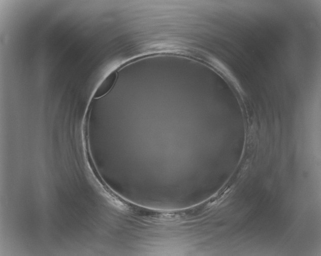 X0000056021291200508221511