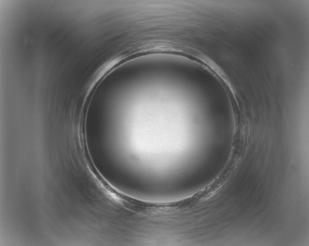 X0000056021293200508221511