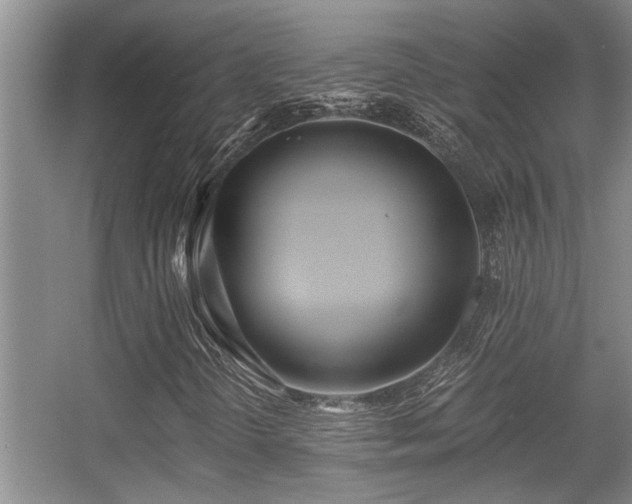 X0000056021298200508221510