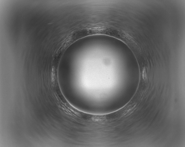 X0000056021299200508221510