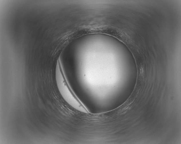 X0000056021300200508221510