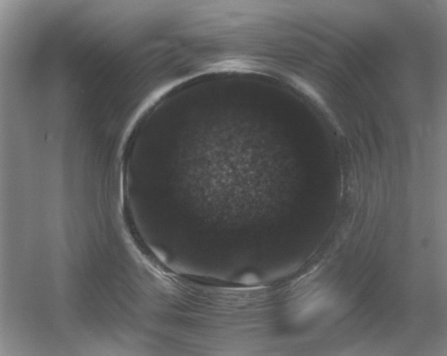 X0000056021323200508221510